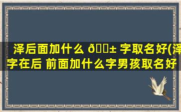 泽后面加什么 🐱 字取名好(泽字在后 前面加什么字男孩取名好听)